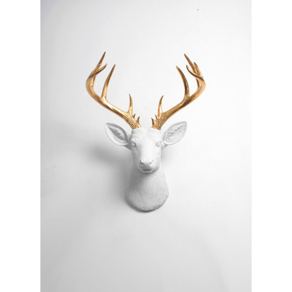 Foundry Select Modern Deer Head Wall Decor & Reviews Wayfair